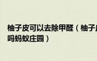 柚子皮可以去除甲醛（柚子皮能有效去除室内空气中的甲醛吗蚂蚁庄园）