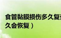 食管黏膜损伤多久复查胃镜（食管黏膜损伤多久会恢复）