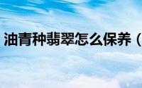 油青种翡翠怎么保养（油青种翡翠如何保养）