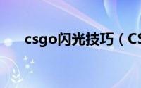 csgo闪光技巧（CS1.6躲避闪光技巧）