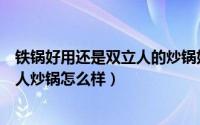 铁锅好用还是双立人的炒锅好用（炒锅选什么材质的好双立人炒锅怎么样）