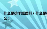 什么是仿羊绒面料（什么是仿羊毛面料仿羊毛面料成分是什么）