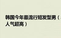 韩国今年最流行短发型男（2019韩国流行短发发型 这六款人气超高）