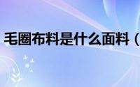 毛圈布料是什么面料（什么是粗针毛圈面料）