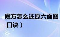 魔方怎么还原六面图（魔方怎么还原六面图解 口诀）