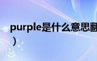 purple是什么意思翻译（purple是什么意思）