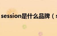 session是什么品牌（session是什么怎么用）