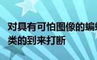 对具有可怕图像的蝙蝠的研究被真正可怕的人类的到来打断