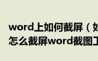 word上如何截屏（如何在word截屏word里怎么截屏word截图工具）