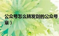 公众号怎么转发别的公众号（公众号怎么转发别的公众号文章）