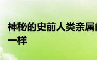 神秘的史前人类亲属的孩子生长缓慢就像我们一样