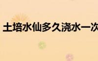 土培水仙多久浇水一次（土培水仙浇水时间）