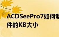 ACDSeePro7如何调整图像大小并估计新文件的KB大小