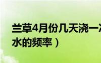 兰草4月份几天浇一次水（兰草4月份浇一次水的频率）