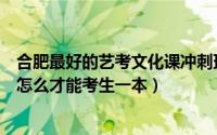 合肥最好的艺考文化课冲刺班（安徽合肥艺考文化课补习班怎么才能考生一本）