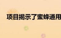 项目揭示了蜜蜂通用语言无论位置或亚种