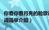 你看你看月亮的脸歌词（你看你看月亮的脸歌词简单介绍）