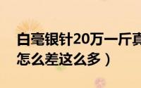 白毫银针20万一斤真的假的（白毫银针价格怎么差这么多）