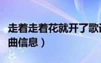 走着走着花就开了歌词（走着走着花就开了歌曲信息）