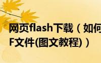 网页flash下载（如何下载网页中的flash SWF文件(图文教程)）