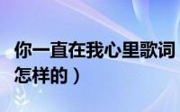 你一直在我心里歌词（你一直在我心里歌词是怎样的）