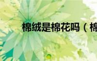 棉绒是棉花吗（棉籽绒是什么东西）