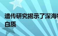 遗传研究揭示了深海物种中以前未知的视觉蛋白质