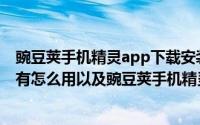 豌豆荚手机精灵app下载安装官方版安卓版（什么是豌豆荚有怎么用以及豌豆荚手机精灵使用方法(图文教程)）