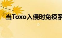 当Toxo入侵时免疫系统会改变人类的行为