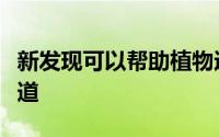 新发现可以帮助植物适应气候变化尼克卡恩报道