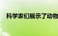 科学家们展示了动物神经系统的第一张图