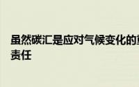 虽然碳汇是应对气候变化的重要资产但它们也是一个巨大的责任