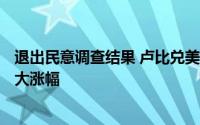 退出民意调查结果 卢比兑美元飙升48点创下2个月以来的最大涨幅