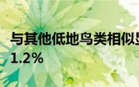 与其他低地鸟类相似显示器仅使用每日总数的1.2％