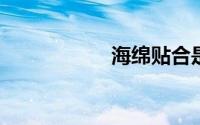 海绵贴合是什么意思