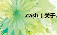 .cash（关于.cash的简介）