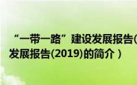 “一带一路”建设发展报告(2019)（关于“一带一路”建设发展报告(2019)的简介）