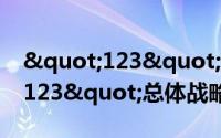 "123"总体战略（关于"123"总体战略的简介）