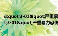 "3·01"严重暴力恐怖案成功告破（关于"3·01"严重暴力恐怖案成功告破的简介）