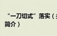 “一刀切式”落实（关于“一刀切式”落实的简介）