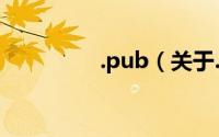 .pub（关于.pub的简介）