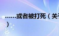 ……或者被打死（关于……或者被打死的简介）