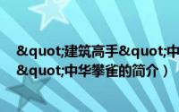 "建筑高手"中华攀雀（关于"建筑高手"中华攀雀的简介）