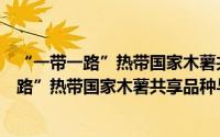 “一带一路”热带国家木薯共享品种与技术（关于“一带一路”热带国家木薯共享品种与技术的简介）