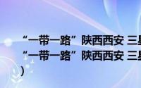 “一带一路”陕西西安 三星·2019城墙国际马拉松赛（关于“一带一路”陕西西安 三星·2019城墙国际马拉松赛的简介）