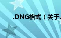 .DNG格式（关于.DNG格式的简介）