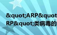 "ARP"类病毒（关于"ARP"类病毒的简介）