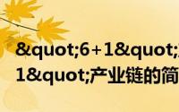 "6+1"产业链（关于"6+1"产业链的简介）