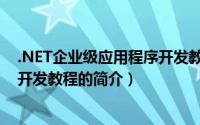 .NET企业级应用程序开发教程（关于.NET企业级应用程序开发教程的简介）