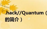 .hack//Quantum（关于.hack//Quantum的简介）